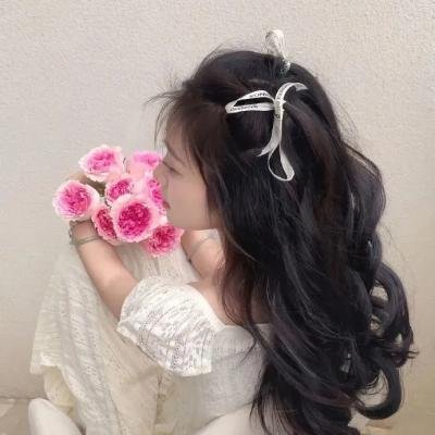 芭比的粉红舞鞋